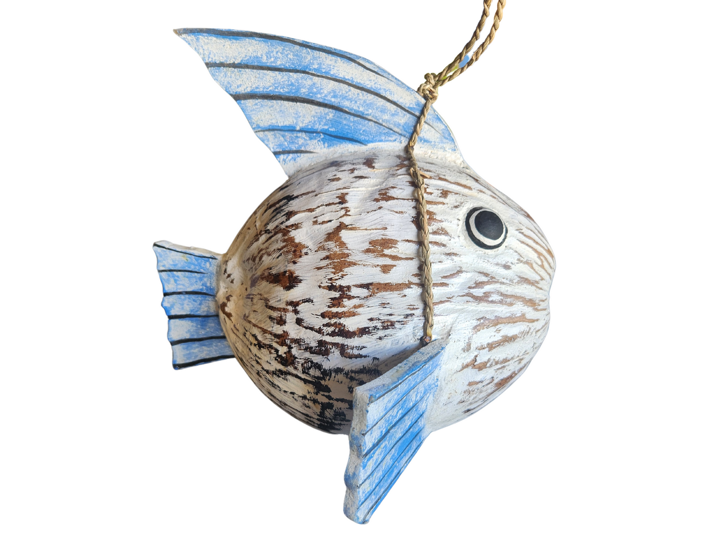 WorldBazzar Beautiful Unique Coconut KOKI Goldfish Blue Wooden Fish Hand Carved Statue Sculpture Art