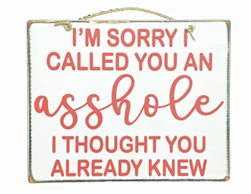 Handmade Sign "I AM SORRY I CALLED YOU AN ASSHOLE I THOUGHT YOU ALREADY KNEW" Man Cave Tavern Tiki Bar Beer Wall Art Careless Funny Naughty