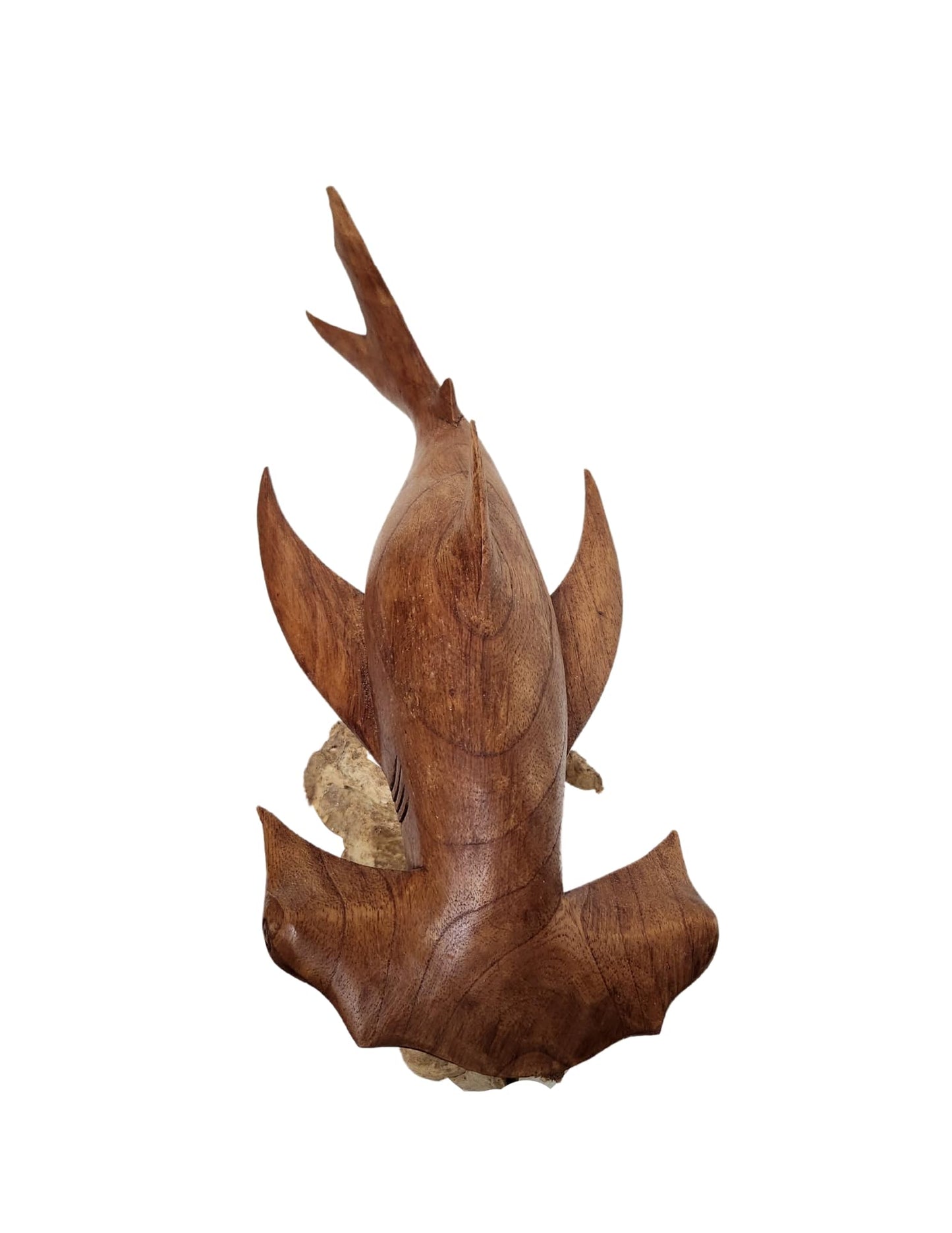 WorldBazzar Hand Carved Mahogany Hammerhead Ocean Shark On Coral Table Art