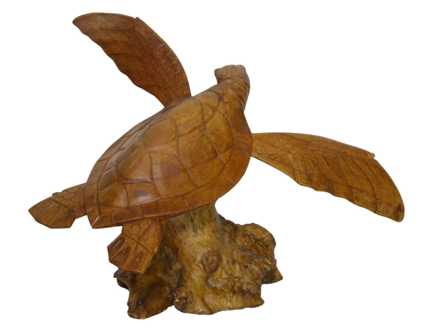 WorldBazzar Hand Carved Mahogany SEA Turtle ON Coral Log Drift Wood