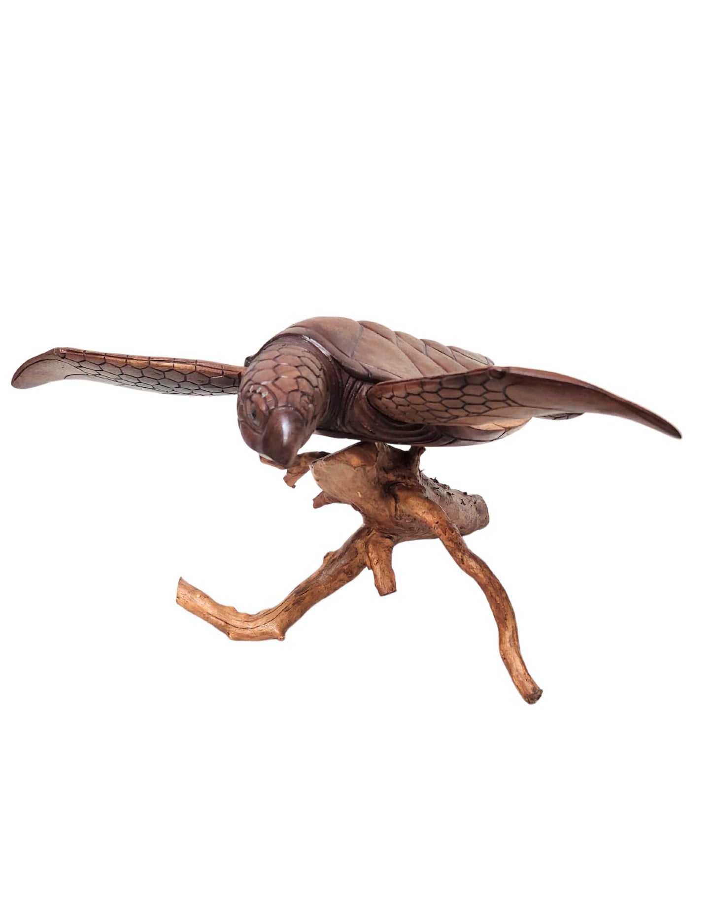 WorldBazzar Beautiful Extra Large Huge Hand Carved Wood Turtle Ocean Coral Statue One of Kind,Brown