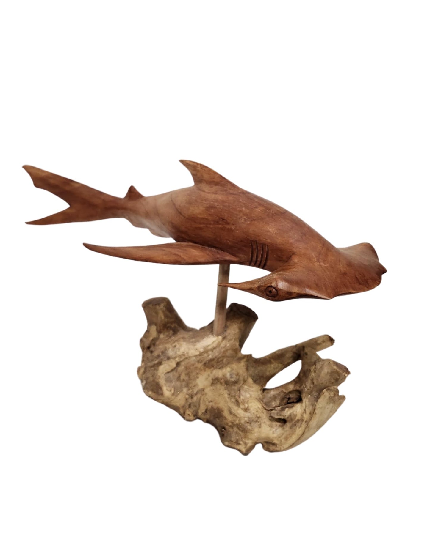 WorldBazzar Hand Carved Mahogany Hammerhead Ocean Shark On Coral Table Art