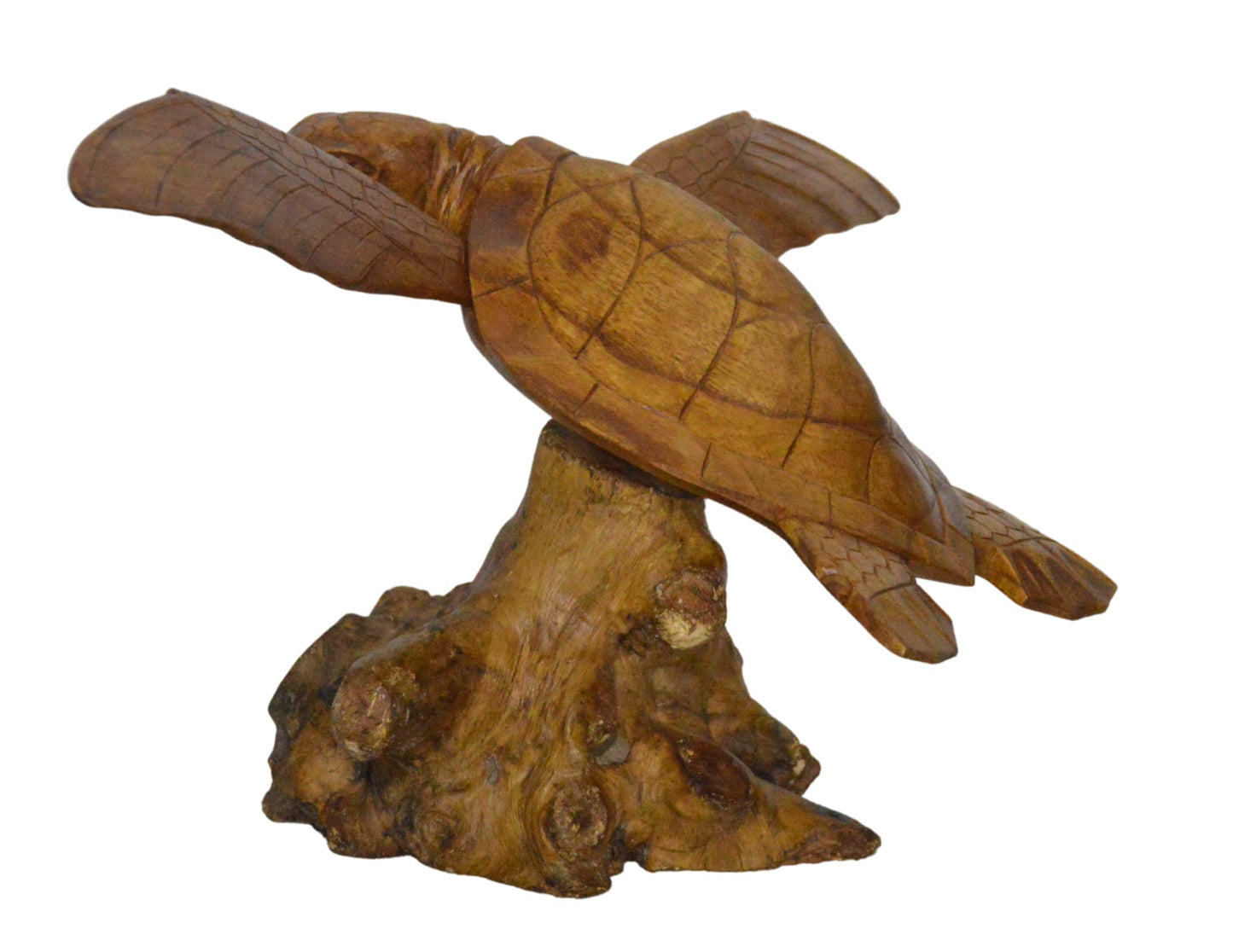 WorldBazzar Hand Carved Mahogany SEA Turtle ON Coral Log Drift Wood