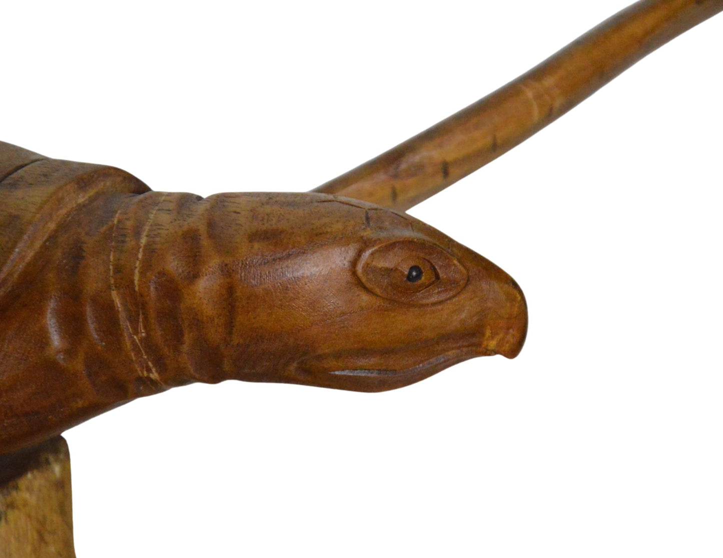 WorldBazzar Hand Carved Mahogany SEA Turtle ON Coral Log Drift Wood