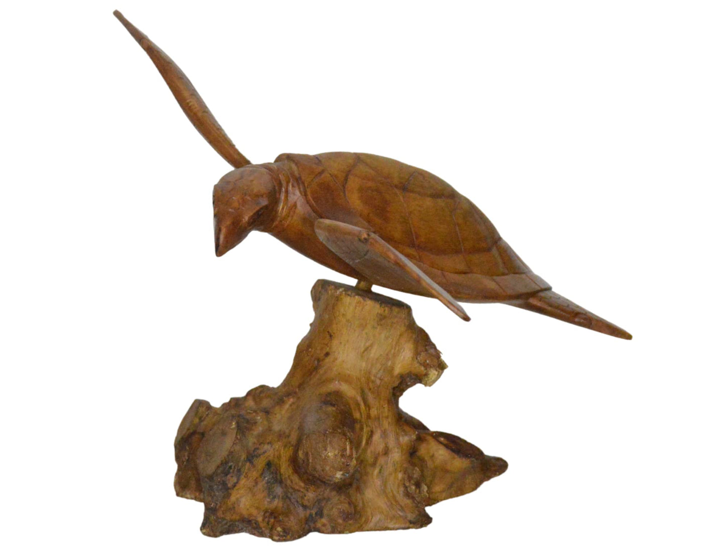 WorldBazzar Hand Carved Mahogany SEA Turtle ON Coral Log Drift Wood
