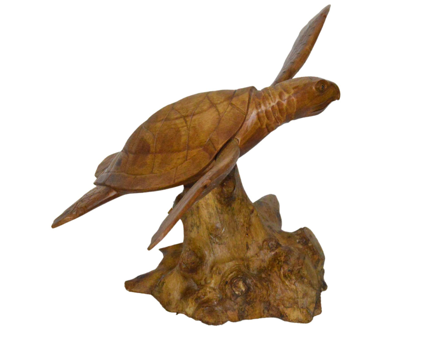 WorldBazzar Hand Carved Mahogany SEA Turtle ON Coral Log Drift Wood