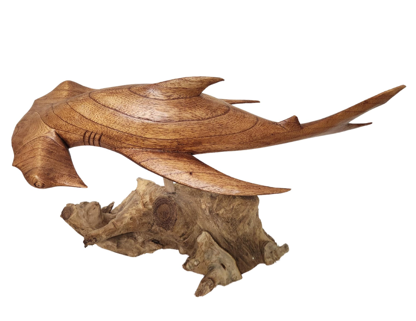 WorldBazzar Hand Carved Mahogany Hammerhead Ocean Shark On Coral Table Art