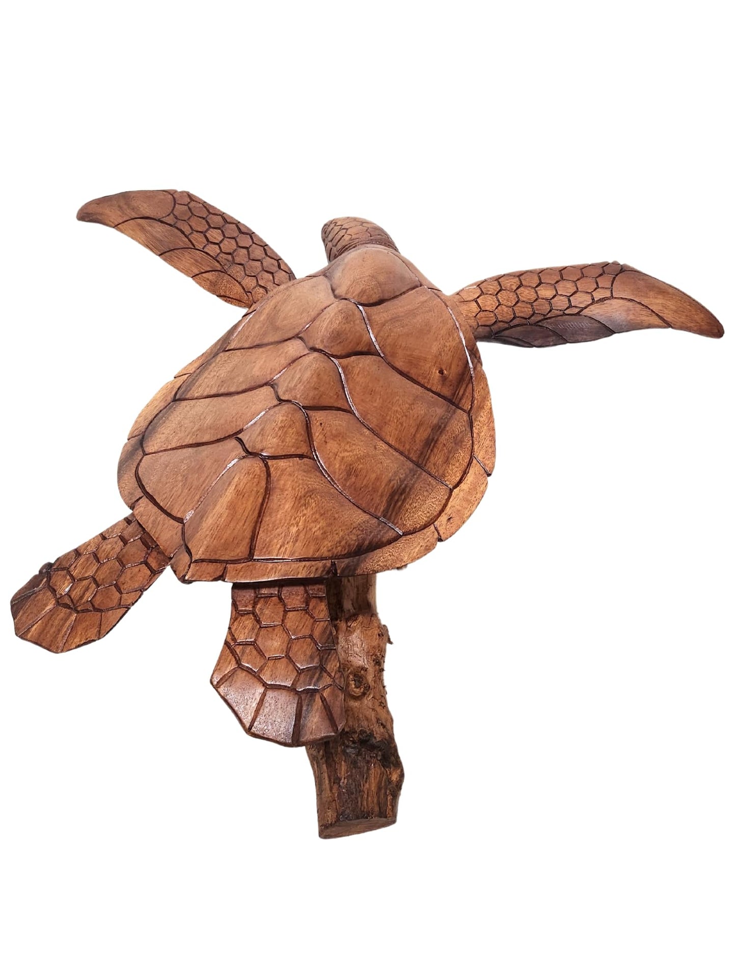 WorldBazzar Beautiful Extra Large Huge Hand Carved Wood Turtle Ocean Coral Statue One of Kind,Brown