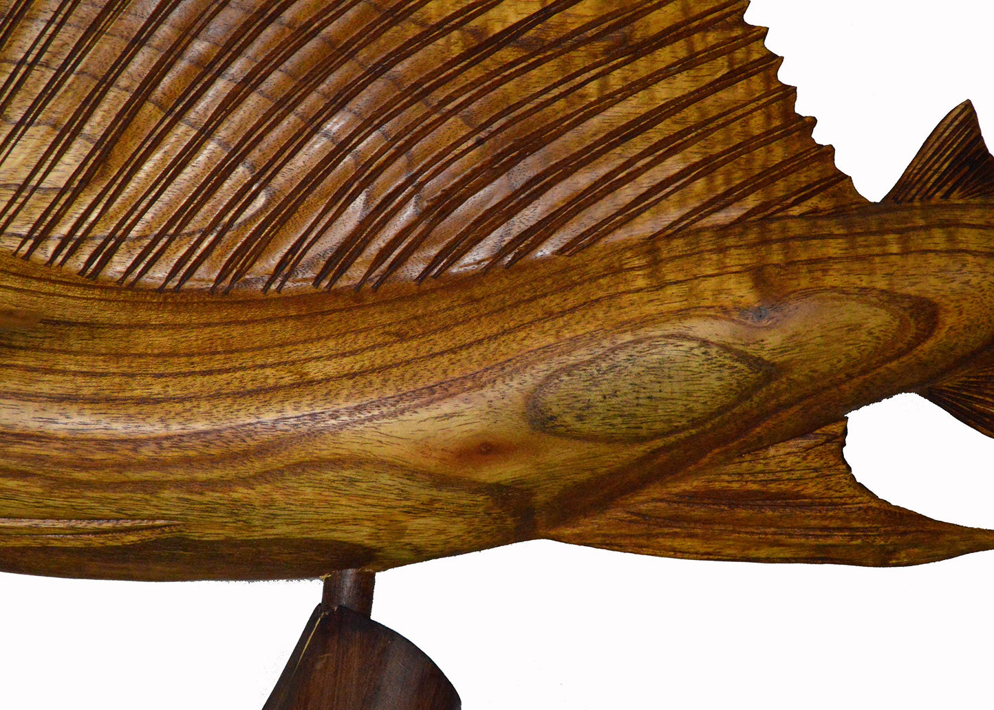 WorldBazzar Sailfish Beautiful Handmade Wood Sculpture Statue Ocean Mount Carving Sport Fish Trophy ONE of A Kind